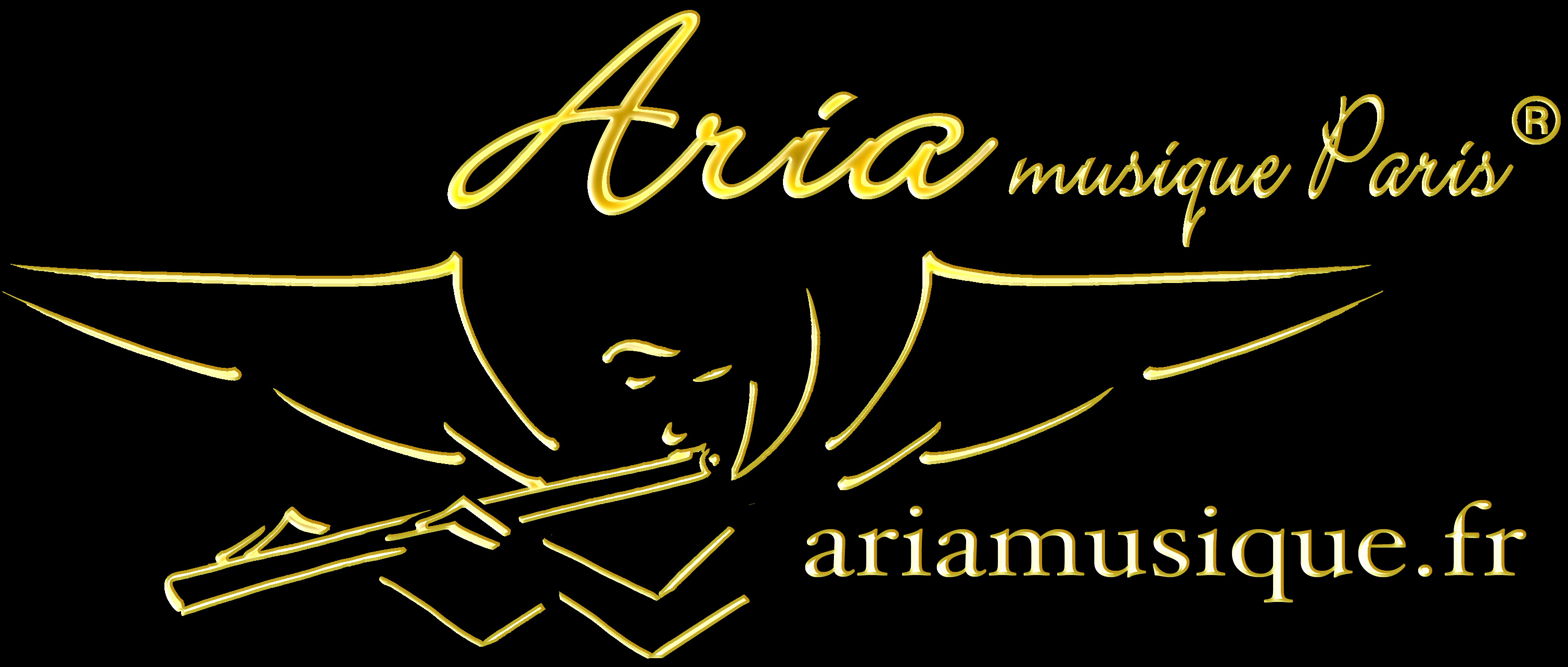  - Aria Logo Or